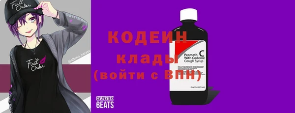 хмурый Новозыбков