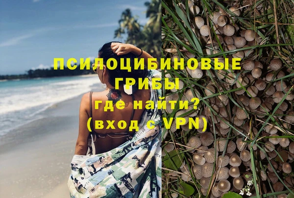 хмурый Новозыбков