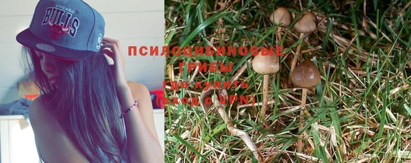 хмурый Новозыбков