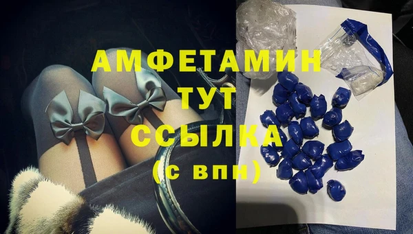 хмурый Новозыбков