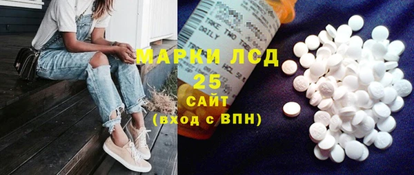 хмурый Новозыбков