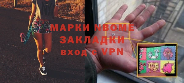 хмурый Новозыбков