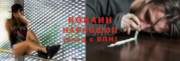 хмурый Новозыбков