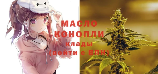 хмурый Новозыбков
