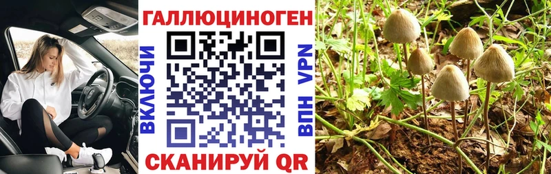 Галлюциногенные грибы Magic Shrooms  где купить наркоту  Урай 